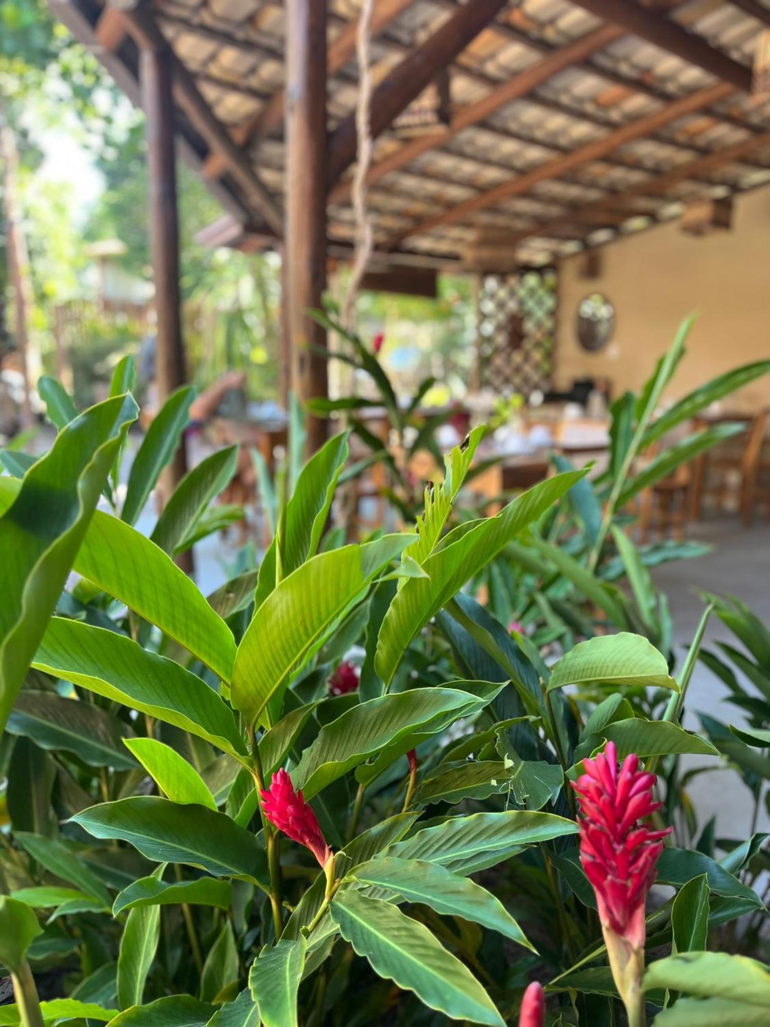 Inn Vilarejo *